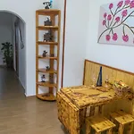 El Muellito Appartement *